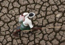 Las olas de calor pueden ser continuas en los veranos del trópico