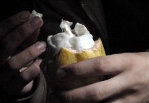 Chocolate lust is ruining West African rainforests