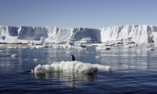 Antarctic Sea