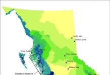 Preserve old-growth forests to keep carbon where it belongs.