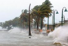 EE.UU. perdería u$s 360.000 millones anuales por cambio climático
