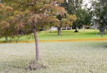 Missing EPA report warned of flooding at Superfund dumps.