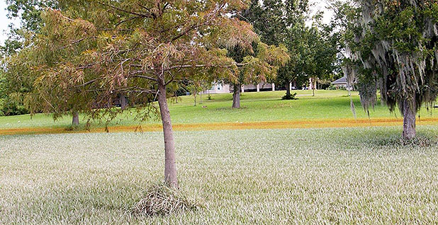 image_asset_21561-befb3d4db67409ebbf0a5eadb8fe3434f350a40a