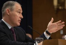 Meet the one EPA employee unafraid to call out Scott Pruitt.