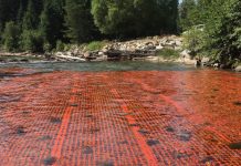 Fish may stall Trans Mountain pipeline expansion.