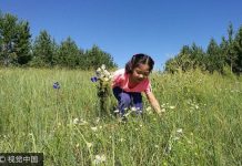 China boosts green efforts around world
