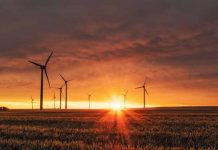 Expertos calculan despliegue de energías renovables para 2050