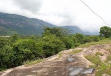 Kerala knows global warming is everyones business, trains leaders to fight climate change
