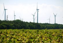 Climat : le chef de l'ONU mobilise les acteurs non-étatiques en faveur de l'Accord de Paris