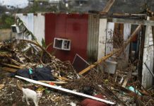 Members of Congress want a federal audit of the official Puerto Rico death toll.