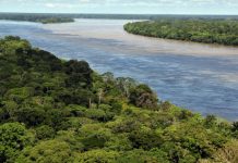 Satellite shows how forest CO2 emissions can skyrocket.