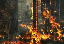 California’s hot summer set the stage for deadly wildfires.
