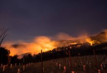 4 questions about climate change and the California fires.