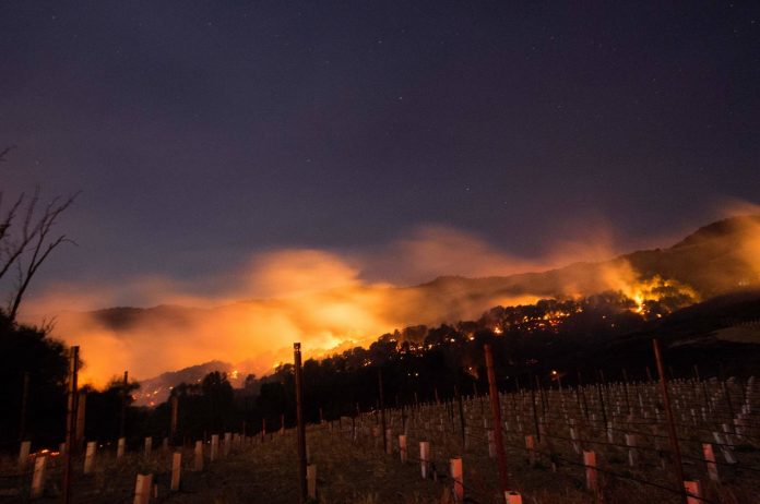 california-vineyard-fires-0291f619fbfff6fdae8329455d4d86e27cf75b62