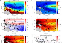 Coral bleaching pathways under the control of regional temperature variability
