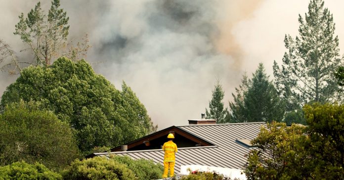 NapaFire-HP-859999422-b9aaab92ce87d8c411039a28421a7ef54f8a1889