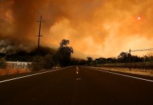 The Napa fire is a perfectly normal apocalypse.