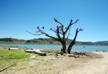 Still in drought, California town seeks new answers to water riddle.