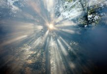 Geoengineering: Scientists in Berlin debate radical ways to reverse global warming