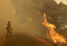 Bipartisan senate bill would authorize $100 million to help prevent Western wildfires.