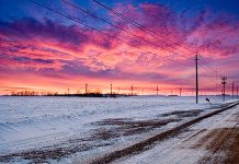 Carbon rule or not, wind energy continues to squeeze coal.
