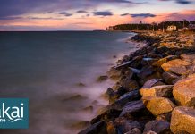 A hard shore is a dead shore.