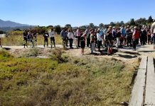 Marin thinkers join effort to tackle sea-level rise.