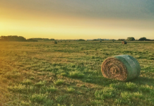 Fear and money breed silence in Saskatchewan.