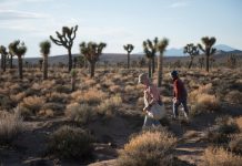 The ambitious effort to document California’s changing deserts.