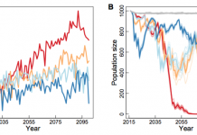 Rapid CO2 cuts could allow some cool-water corals to adapt to global warming