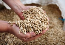 Guest post: Bioenergy ‘flaw’ under EU renewable target could raise emissions