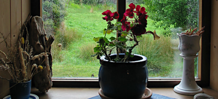 rainy-window-4b972fe8c6f54d803a0ce603bd92a3fe9e2b7b60