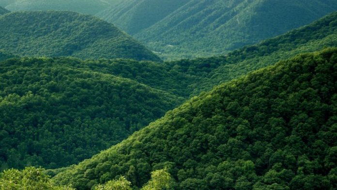 landscape-tree-nature-for-0e2cc6531790670630a2afd30d3cddc81a6c366a