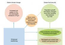 Guest post: How ‘enhanced weathering’ could slow climate change and boost crop yields