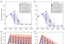 Every five-year delay in meeting Paris goals could ‘add 20cm’ to global sea levels