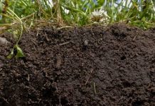 UK to set goal of restoring soil health by 2030