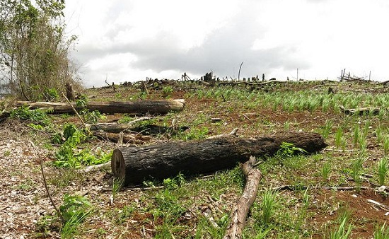 DegradedLandscapesCostaRi-7f279a8f21485b1566d20ce9cffc1bb181373fce