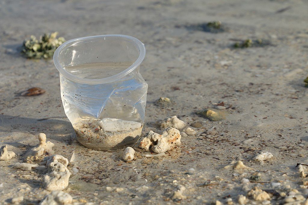 Single-use plastic cup on beach Photo: &Oslash;yvind Holmstad