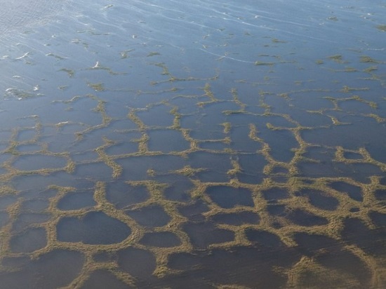 Flooded-permafrost-tundra-9da9607a8fa4c109eafe434a60ce4c6c942422db