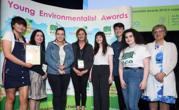 Young Environmentalist Awards: Focus on the Sustainable Development Goals