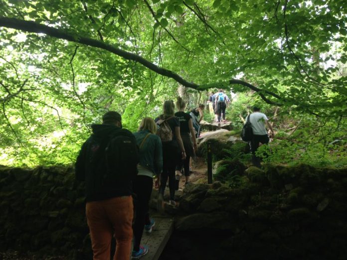 Forest-therapy-trips-2-ed3cfc08891ab857f1efba05a2cb8e598f5df7e1