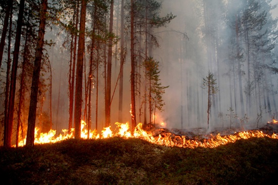 Wildfire-ArcticCircle-Swe-6bdc786346451d7bdd2fd09c4e82f83c7b25d8d0