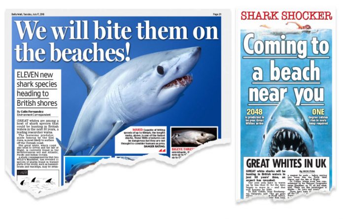 daily-mail-the-sun-1024x6-1f2df375a47435ada2a09c85519e48fcbd6131f0