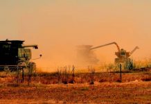 There’s not enough land for everyone in the world to follow U.S. dietary guidelines