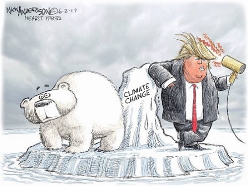 2018 Toon 36