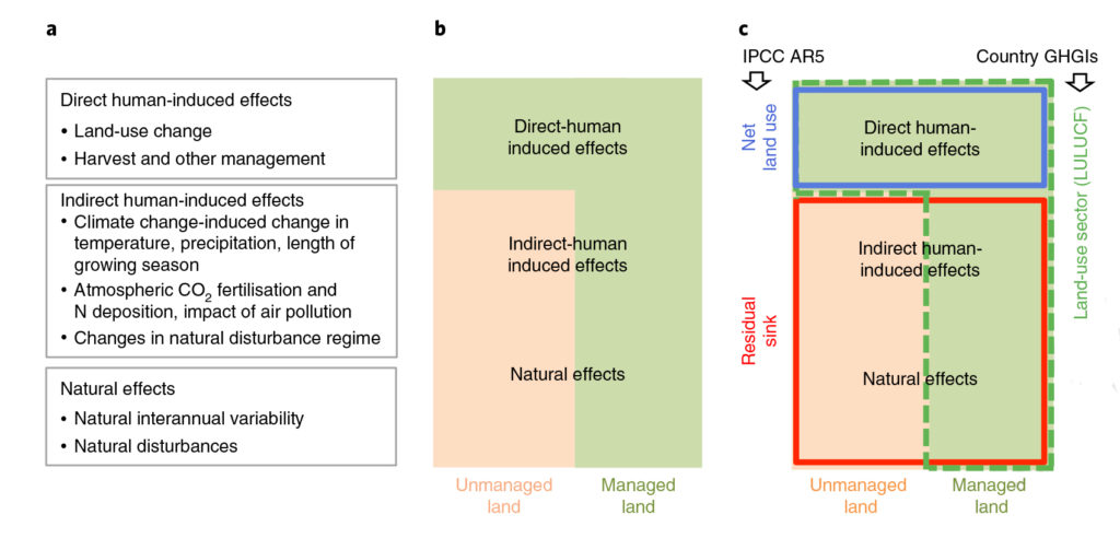 The main conceptual differences in defining &ldquo;anthropogenic&rdquo; land CO2 sources and sinks between the global model approaches assessed in IPCC AR5 and countries&rsquo; GHG inventories. Source: Grassi et al. (2018).