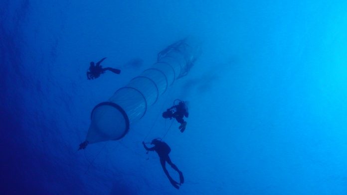 MESOCOSM-e42a40fa0bdf4f49efe50ce334e1330d5f4d67d5