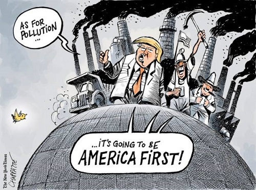 2018 Toon 50