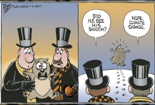 2019 Toon 5