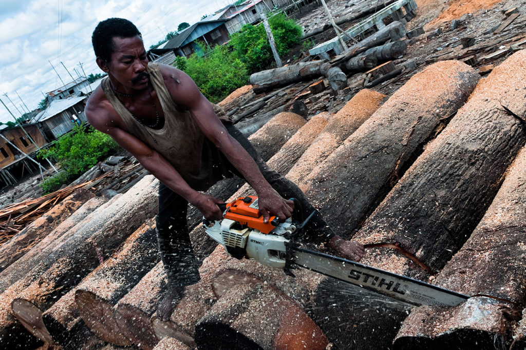 A Colombian worker uses a chainsaw to cut a log from the rainforest at a sawmill in Tumaco, Colombia.